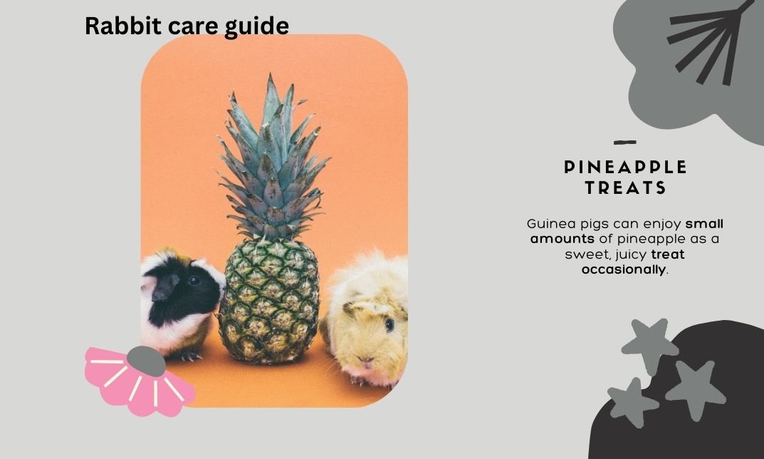 Is Pineapple Protected for Guinea Pigs? What You Should Know