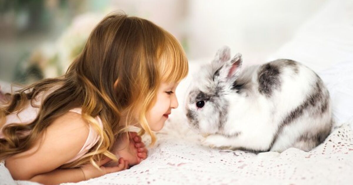 10 Most interesting Rabbits for Kids